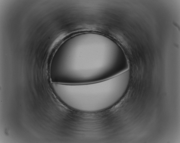 X0000097781172200803070907