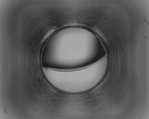 X0000097781173200803070907