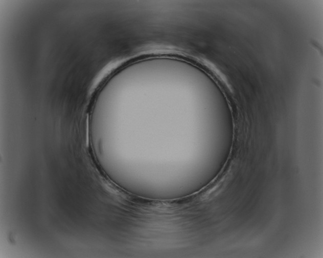 X0000097781175200803070907