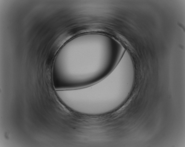 X0000097781177200803070906