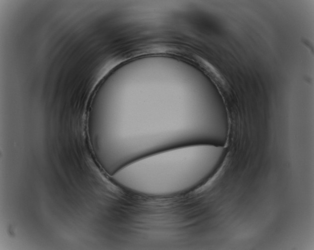 X0000097781178200803070906