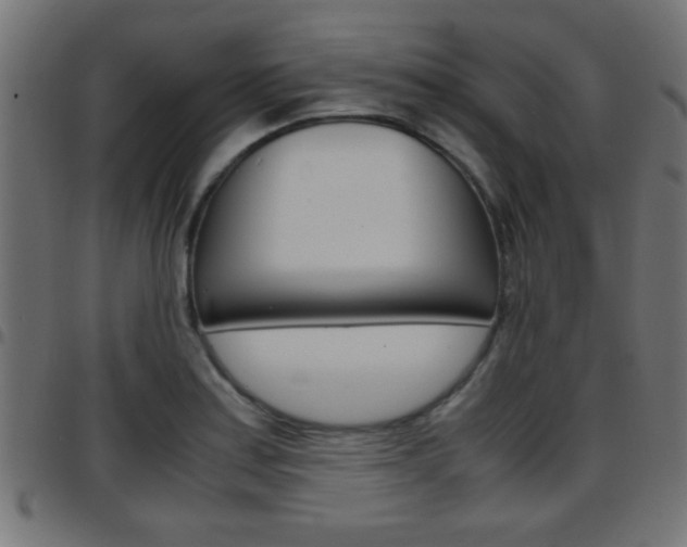 X0000097781179200803070906