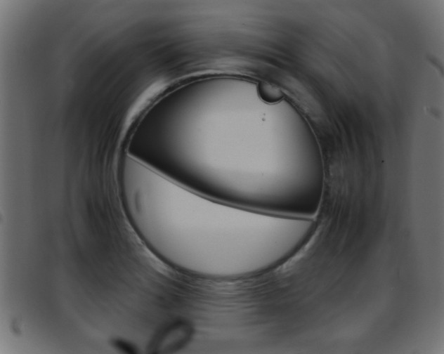 X0000097781180200803070906