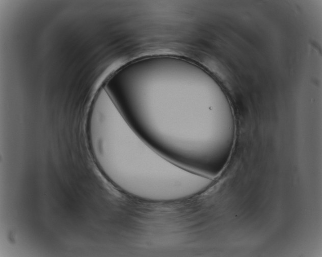 X0000097781181200803070906
