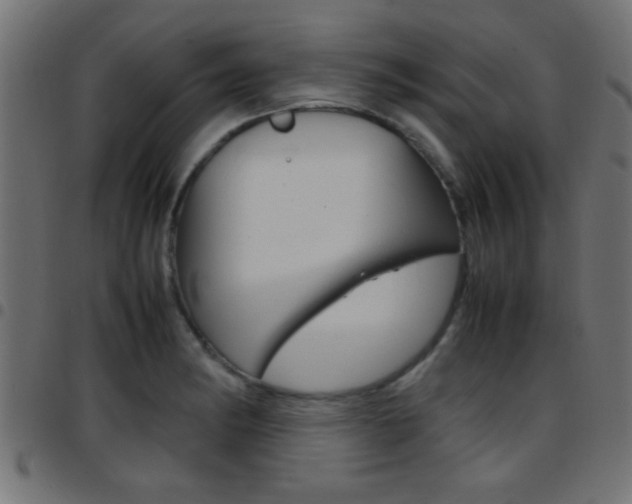 X0000097781182200803070906