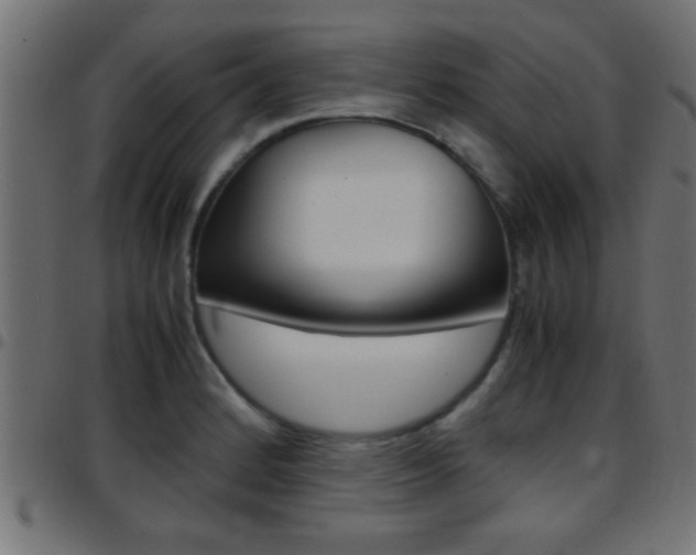 X0000097781184200803070906