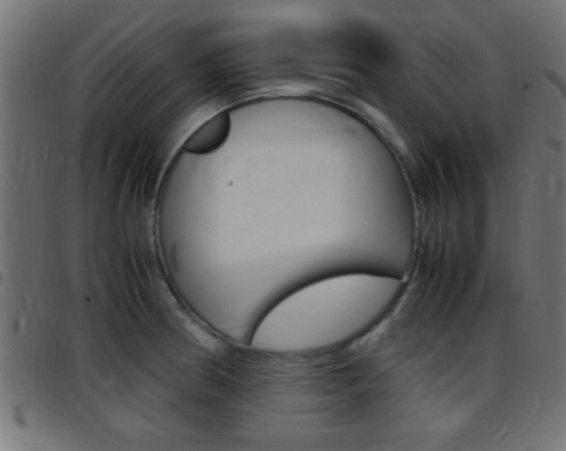 X0000097781186200803070906