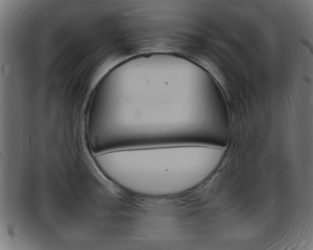 X0000097781187200803070906