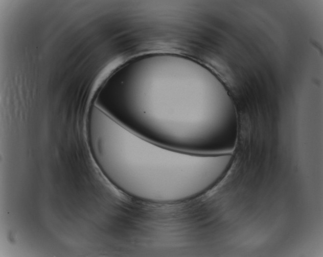 X0000097781188200803070906