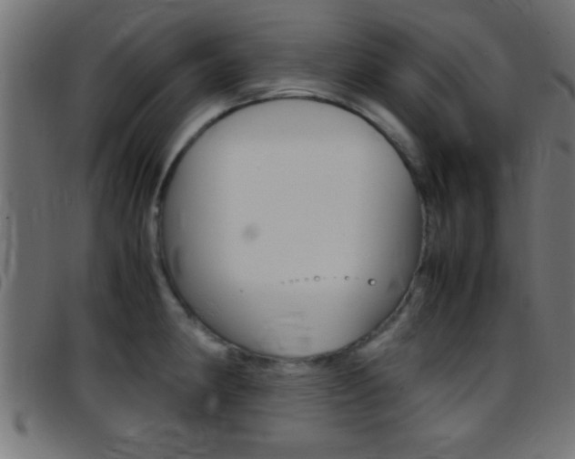 X0000097781190200803070906