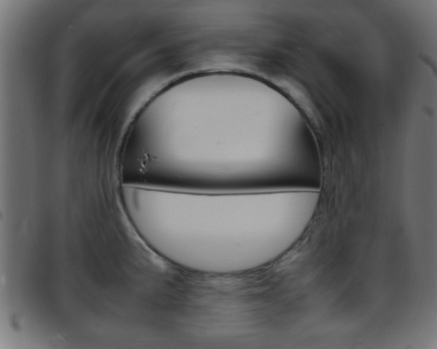 X0000097781191200803070906