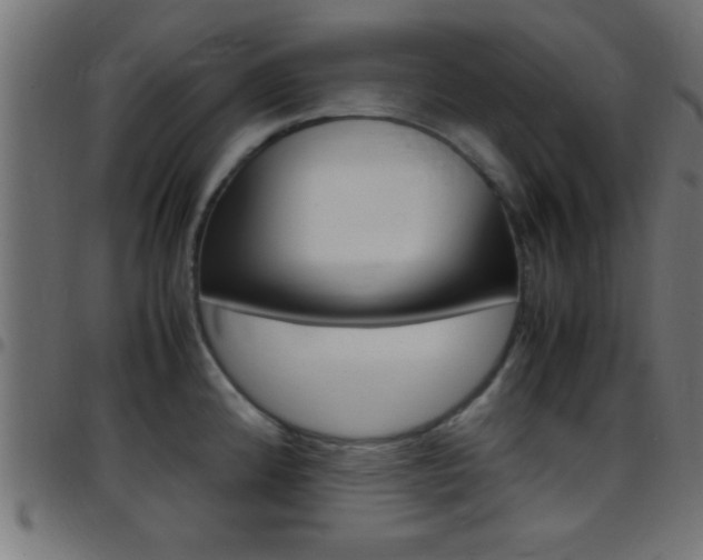 X0000097781192200803070906