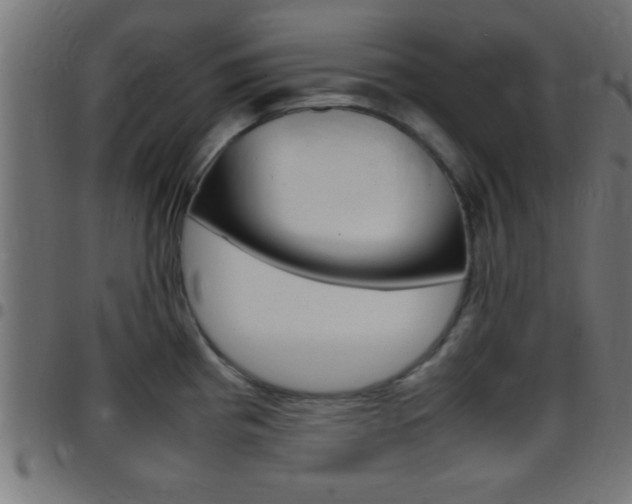 X0000097781193200803070906
