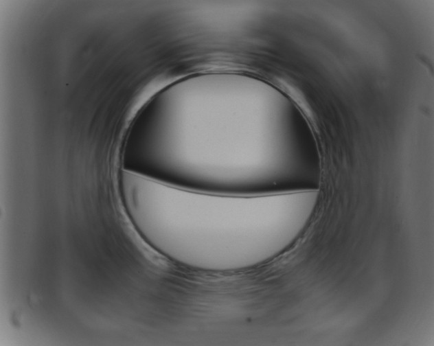 X0000097781195200803070906