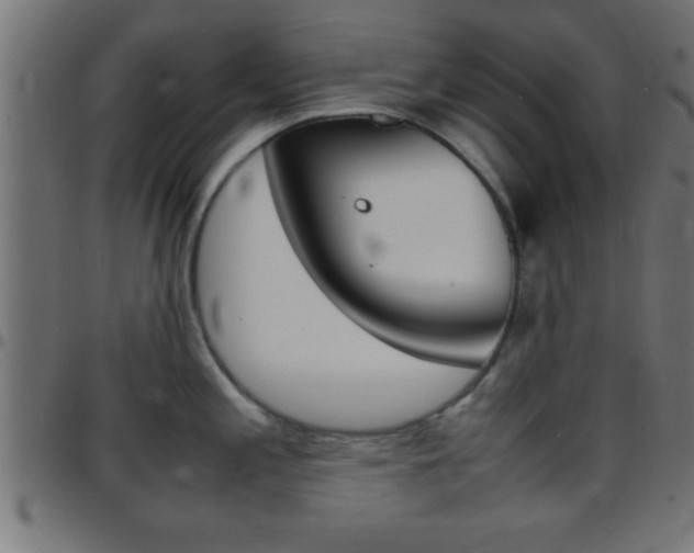 X0000097781197200803070906