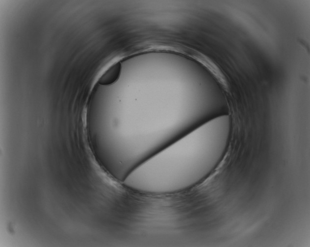 X0000097781198200803070906