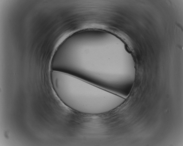 X0000097781199200803070906