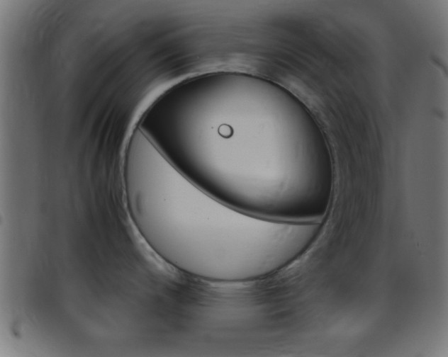 X0000097781200200803070906