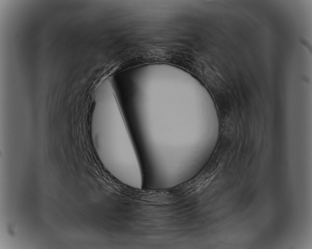 X0000097781201200803070906