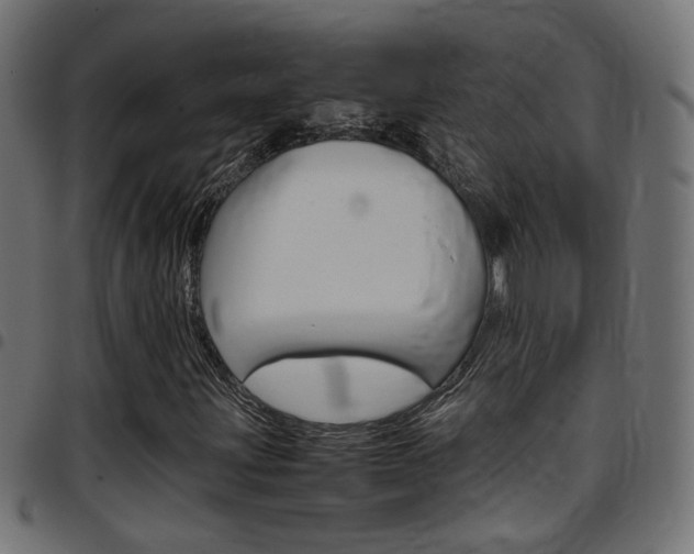 X0000097781203200803070906