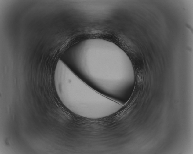 X0000097781204200803070906