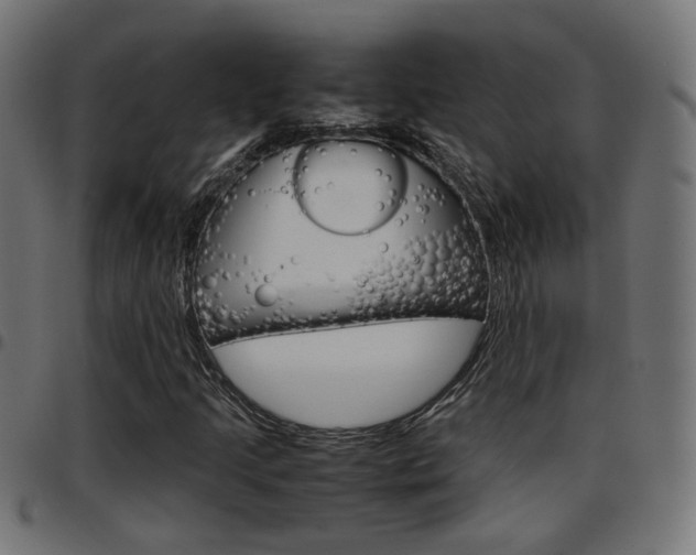 X0000097781205200803070906