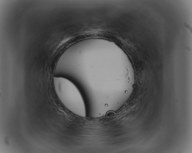 X0000097781206200803070906