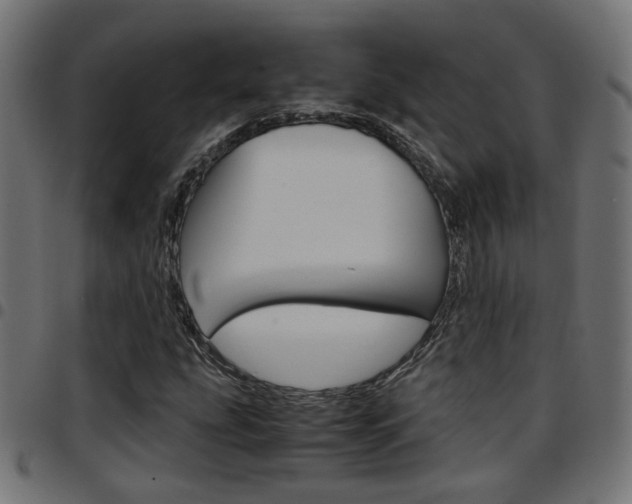 X0000097781207200803070906