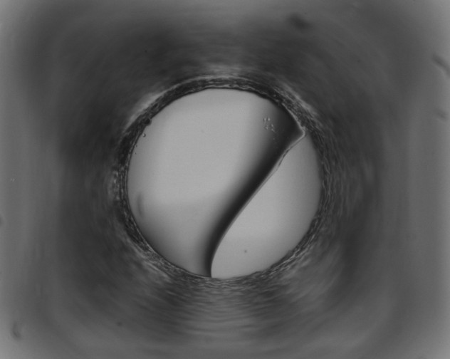 X0000097781208200803070906