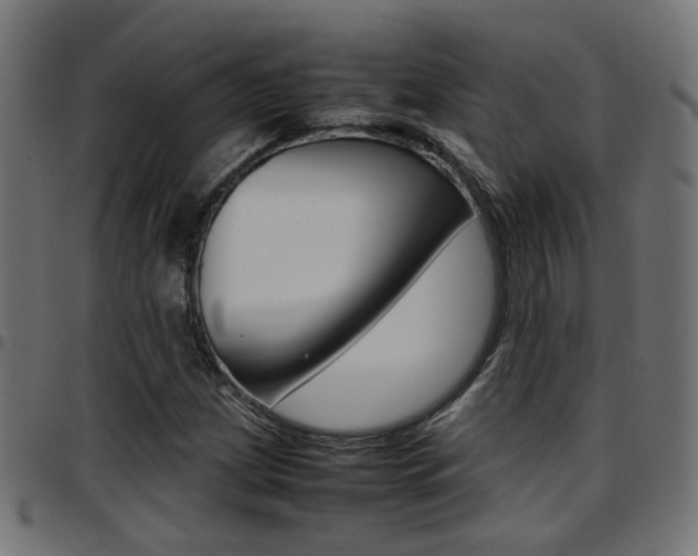 X0000097781209200803070906