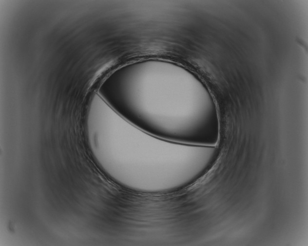 X0000097781210200803070906