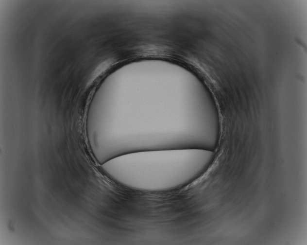 X0000097781211200803070906