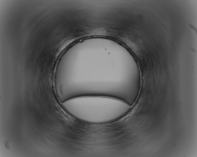 X0000097781212200803070906