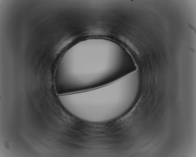 X0000097781213200803070906