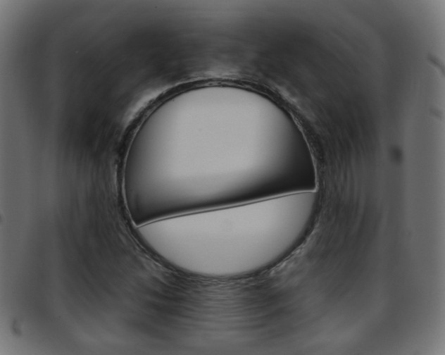 X0000097781214200803070906