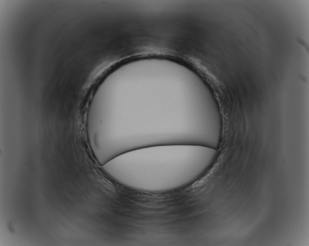 X0000097781215200803070906