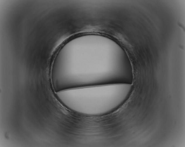 X0000097781216200803070906