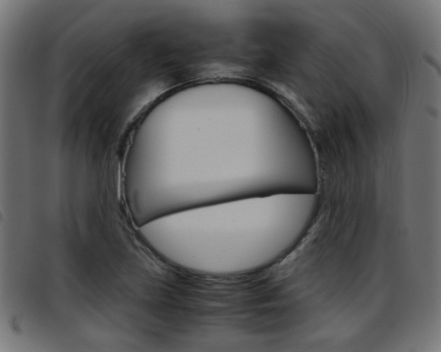 X0000097781219200803070906