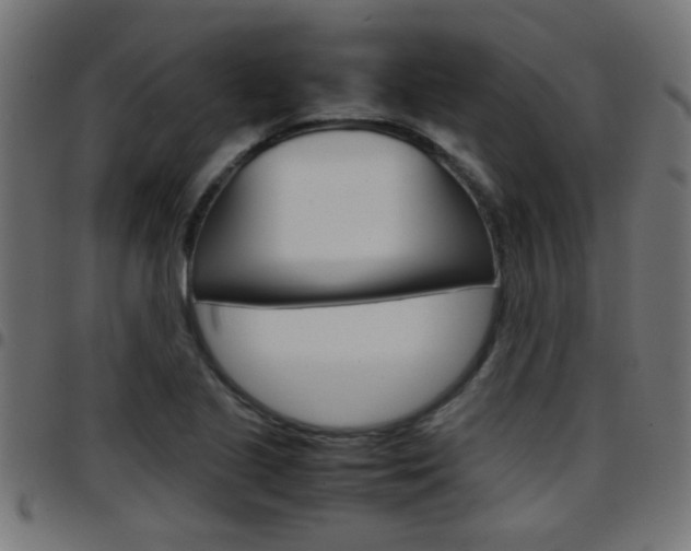 X0000097781221200803070906