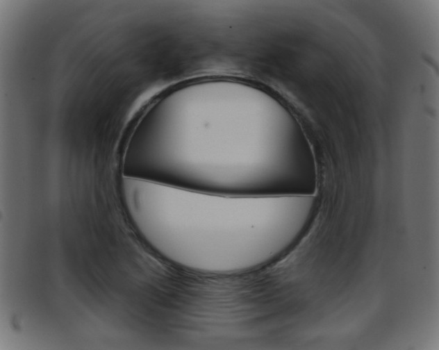 X0000097781222200803070906