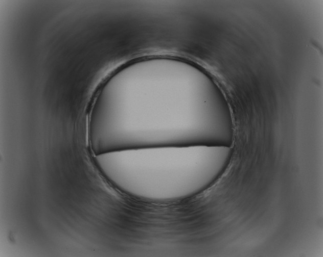 X0000097781223200803070906