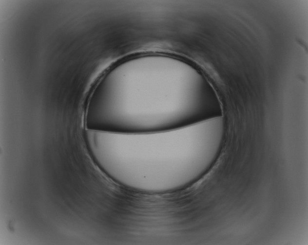 X0000097781224200803070906