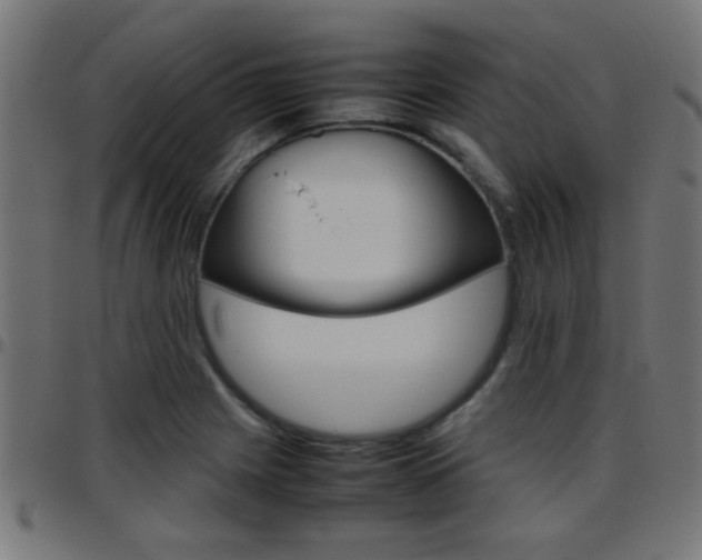 X0000097781225200803070906