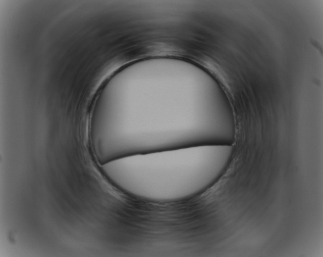 X0000097781227200803070906