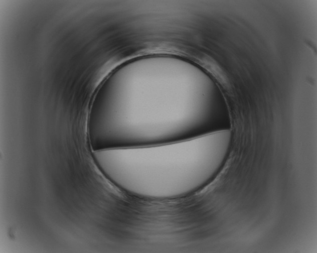 X0000097781228200803070906