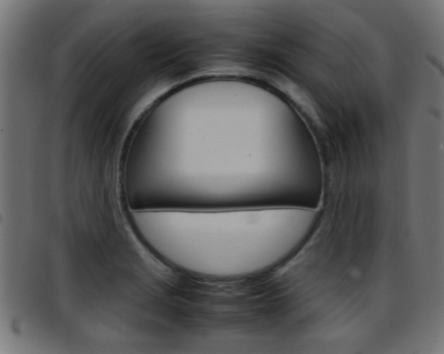 X0000097781229200803070906