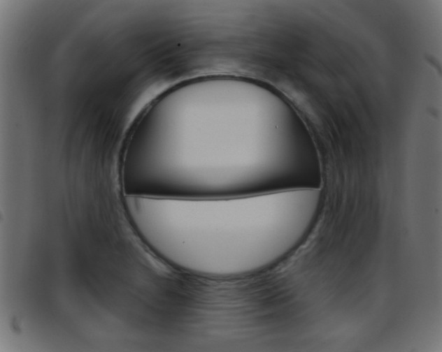 X0000097781230200803070906
