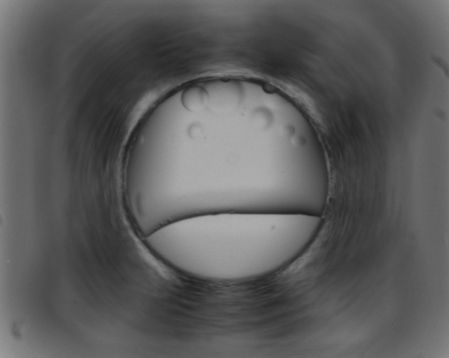X0000097781231200803070906