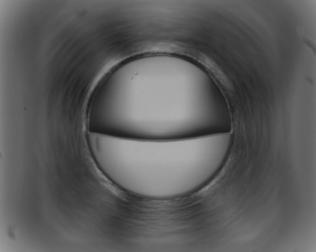 X0000097781232200803070906