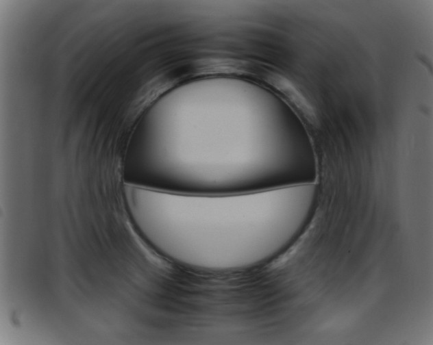 X0000097781233200803070906
